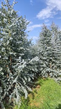 WhatsApp Image 2025-12-17 at 18.09.18 (3)_1