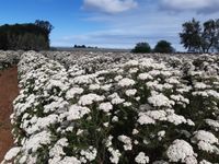 WhatsApp Image 2025-12-17 at 18.09.18_1