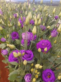 WhatsApp Image 2025-12-17 at 18.17.43 (3)